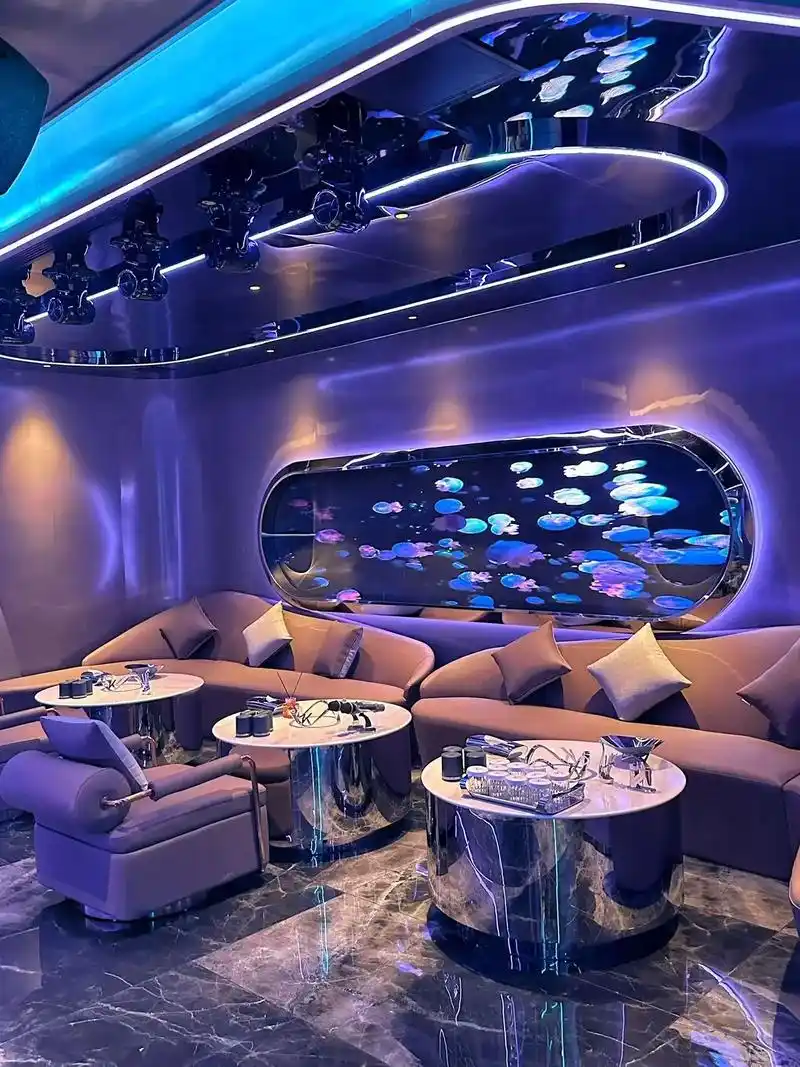 张家口商务ktv模式大揭秘-蔚县ktv预定